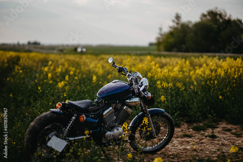 Fototapeta Naklejka Na Ścianę i Meble -  custom motorcycle bobber chopper in yellow field. Aesthetic vintage motorcycle