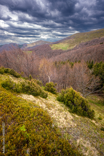 Early spring landscape of Po  onina Wetli  ska in the Bieszczady Mountains.
