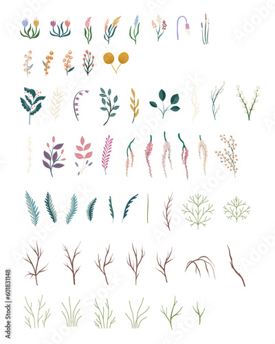tiny bloom meadow flowers elements branches berry vector