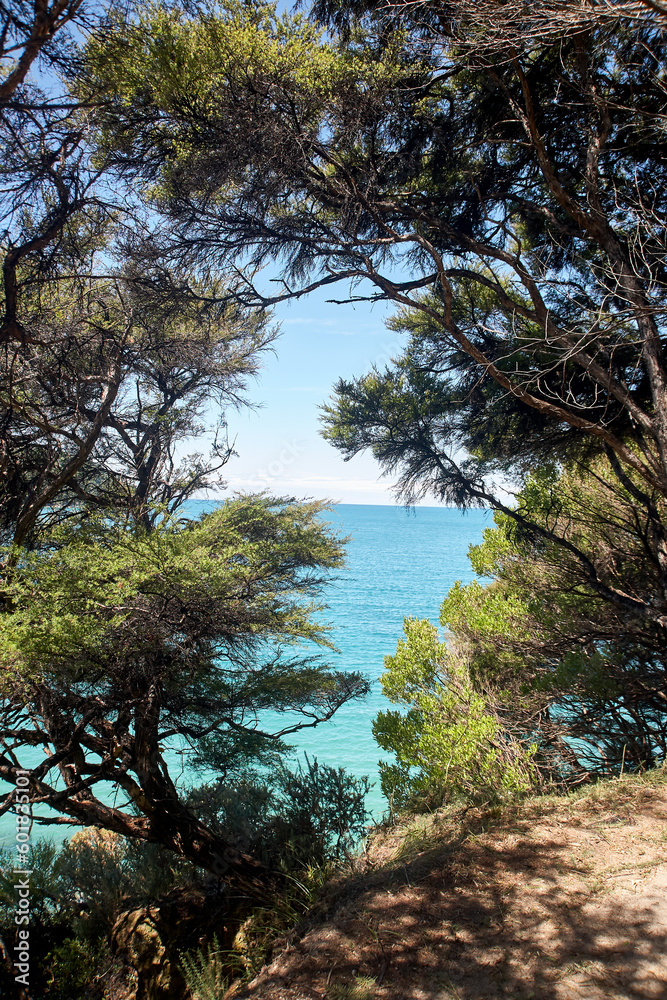Blick auf das türkisblaue Meer durch die Bäume im Abel Tasman Nationalpark.