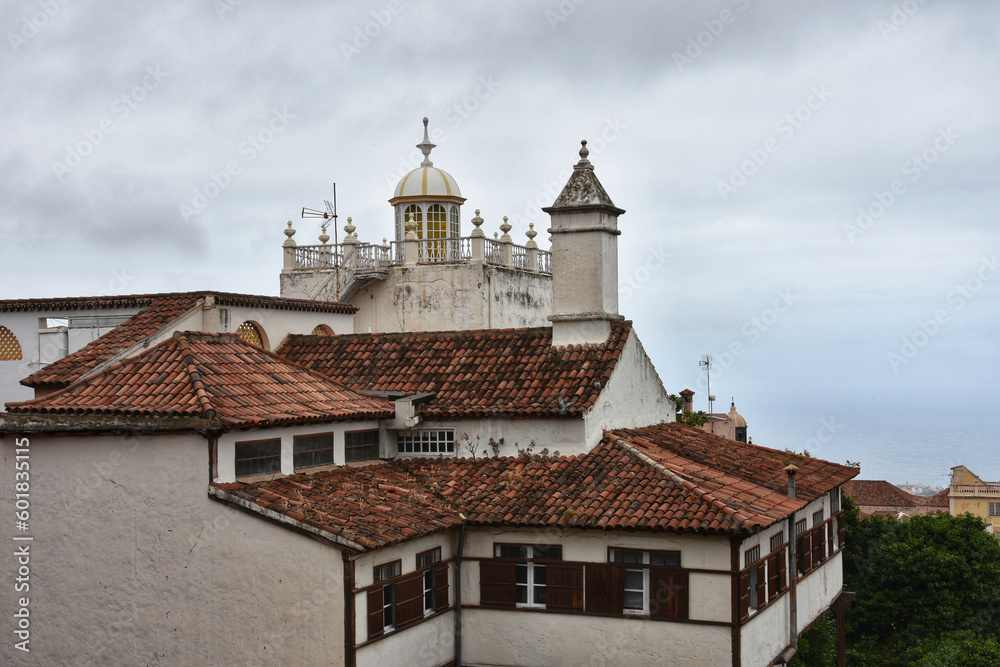 Panoramic view of townscape of La Orotava