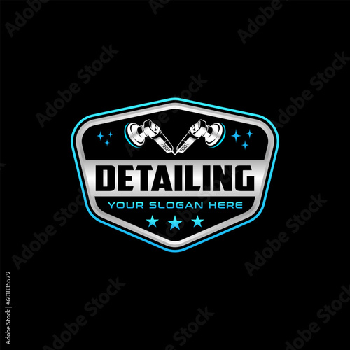 vector graphic of auto detailing logo design template