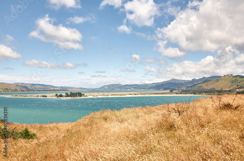 Neuseeländische Panoramalandschaft mit Gras und türkisblauem Wasser und Bergen im Hintergrund.