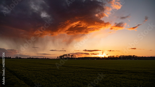 colourful sunset over field - heavy cloud in golden hour © Phil