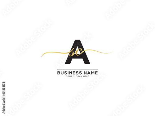 Typography ASC Signature Logo, Creative asc sac Business Logo Icon Vector Art