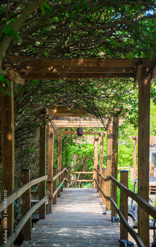 A charming arbor arch trellis. This traditional flower arch gate is popular in elegant homes or tropical settings. During summertime, it casts shade and shadows.