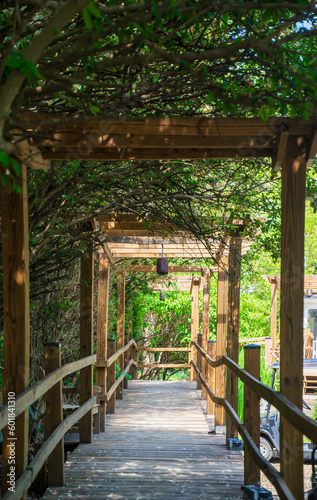 A charming arbor arch trellis. This traditional flower arch gate is popular in elegant homes or tropical settings. During summertime  it casts shade and shadows.