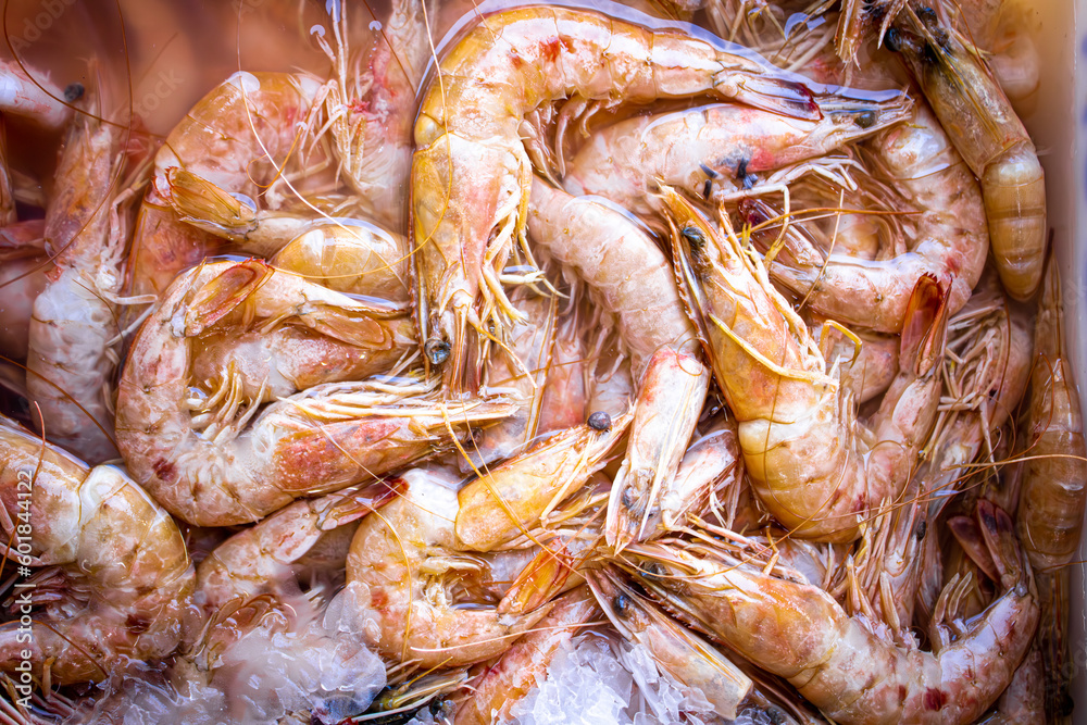 Photo of several pink shrimps (Farfantepenaeus subtilis) at the fish market