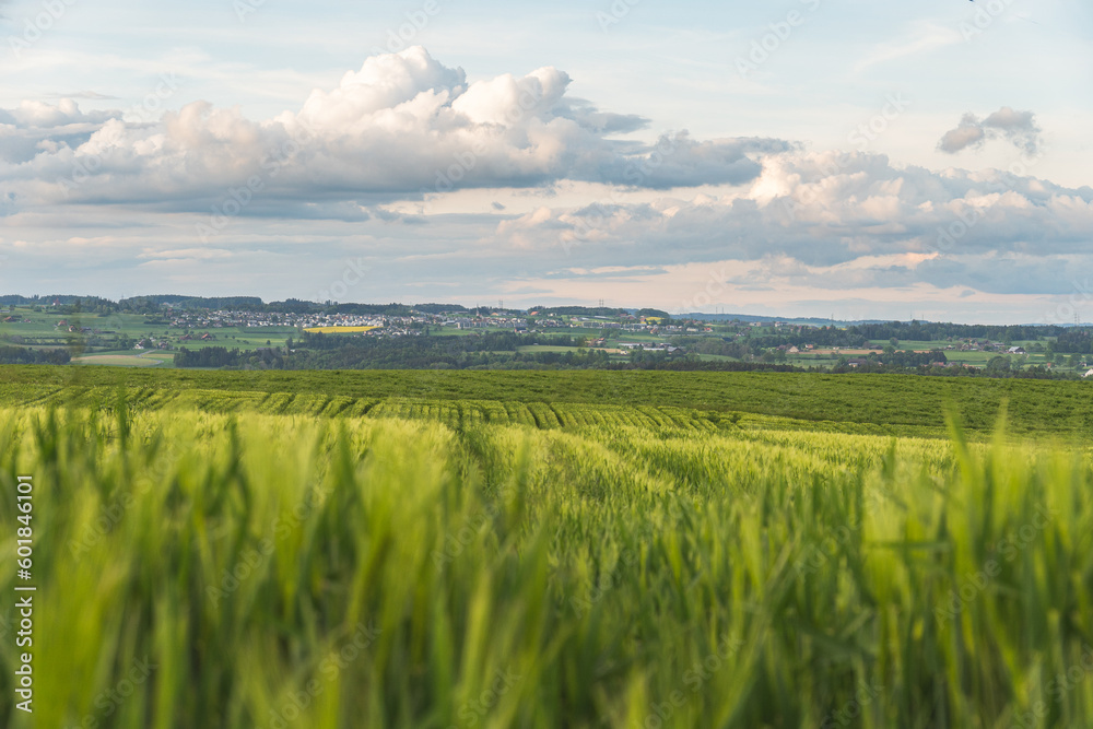 Fototapeta premium Landschaft in der Schweiz bei bewölktem Himmel