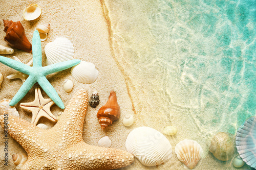 Fototapeta Naklejka Na Ścianę i Meble -  Starfish and seashell on the summer beach in sea water. Summer background. Summer time.