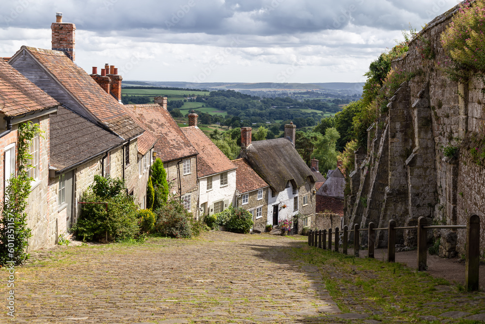 Fototapeta premium Old English houses with red roof tiles and thatched roofs and with green hills in the background (Golden hill) in the picturesque village of Shaftesbury, Dorset, England.