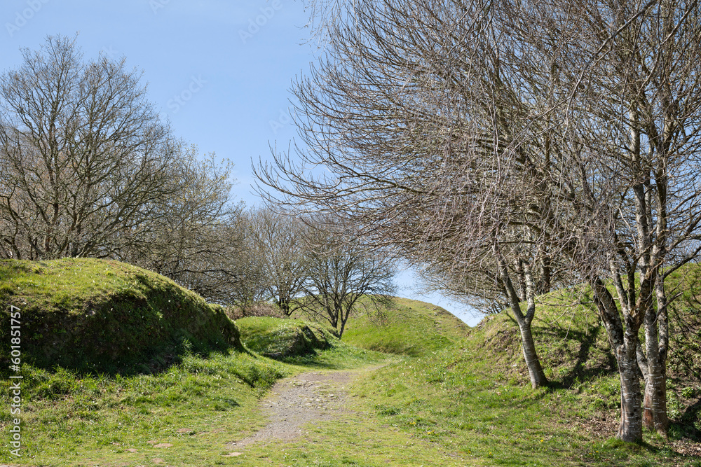 Field with green grass, trees and small hills with blue sky Field with green grass, trees and small hills with blue sky