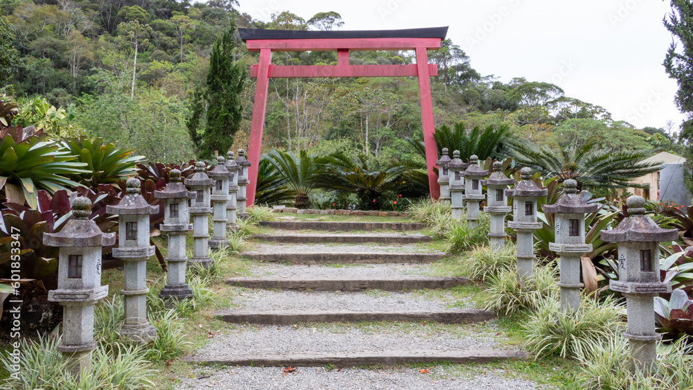 Valley of Love Petrópolis Buda Religion Meditation Flowers Valley of Love Petrópolis Buda Religion Meditation Flowers