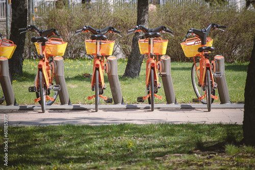 Fototapeta Naklejka Na Ścianę i Meble -  Orange bicycles standing in a row for rental on pavement between lawns