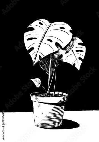 Monstera in Black and white  (ID: 601854932)