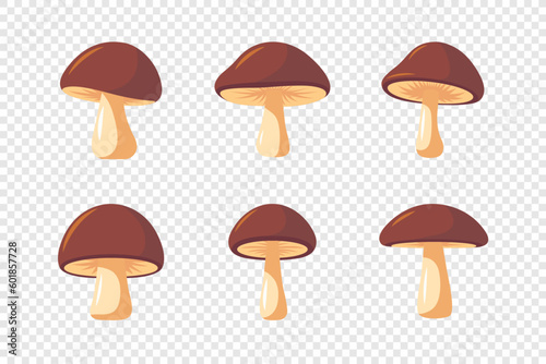 Vector Hand Drawn Cartoon Flat Mushroom Icon Set Isolated. Brown Edible Boletus Mushroom Illustration, Mushrooms Collection. Magic Mushroom Symbol, Design Template