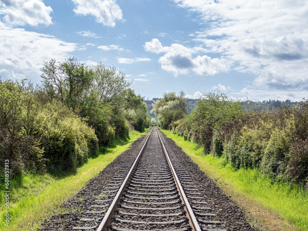 railway in the  green landscape