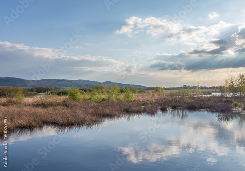 Bog  Grosses Torfmoor in Germany.