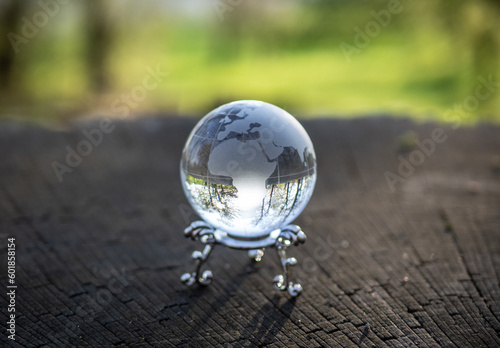 glass earth globe in forest. © wlad074