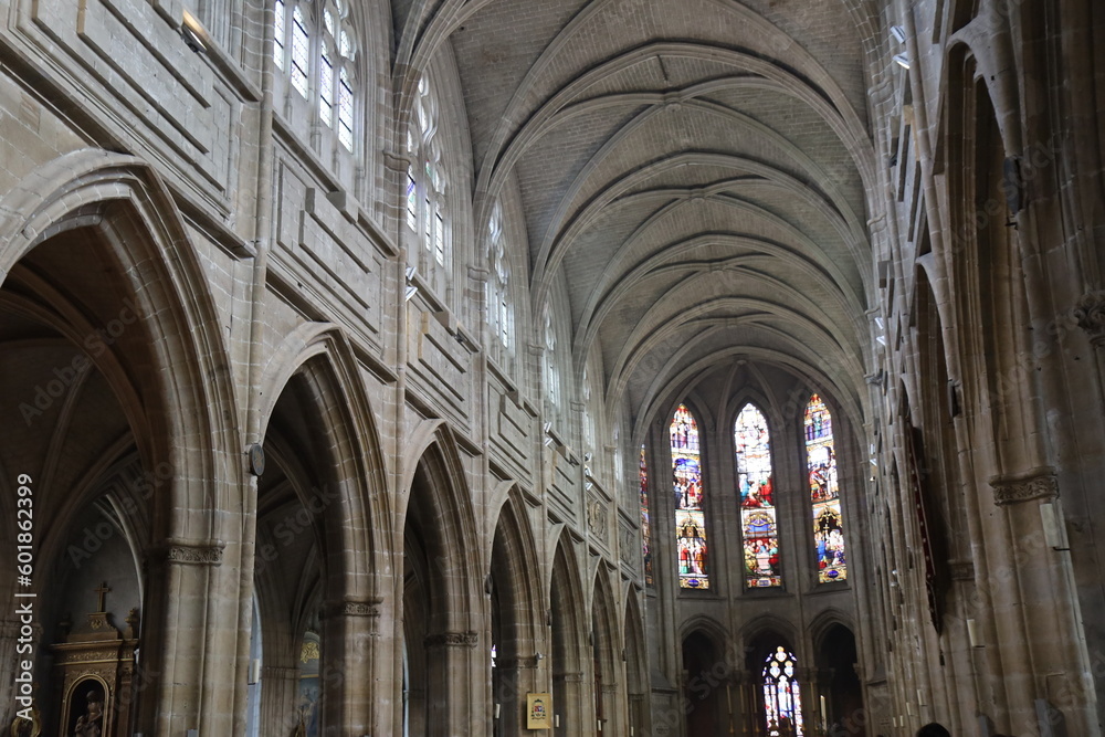 La cathédrale Saint Louis, ville de Blois, département du Loir et Cher, France