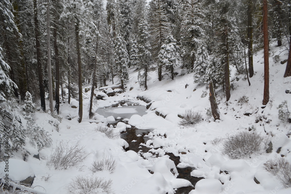 Obraz premium en la nieve