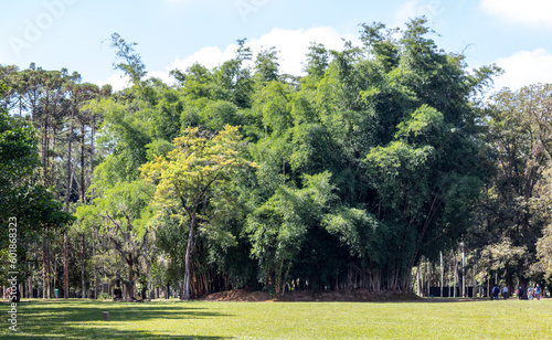 Image taken at the Roberto Burle Marx City Park in São José dos Campos, São Paulo, Brazil. 