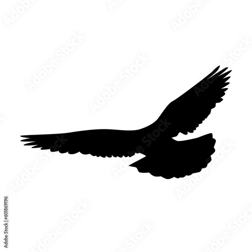 Pigeons silhouette isolated