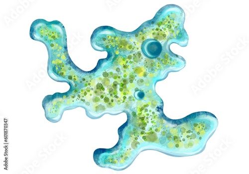 Fotografie Bacteria close-up, unicellular protozoan microorganisms