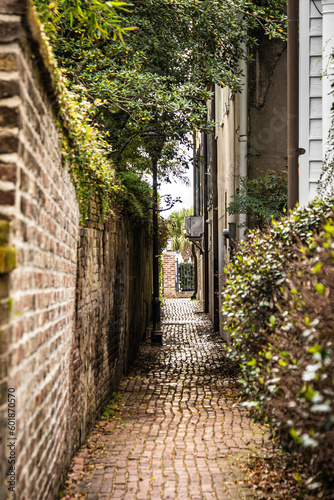 Looking down an alley with a brick surface and ambient light from the cloudy skies.