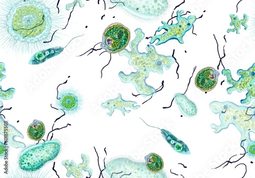 Bacteria, unicellular protozoa, algae. Seamless pattern for printing in textbooks, medical brochures, packaging, fabrics and other polygraphy. Color illustration of microbiology. photo