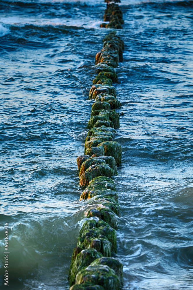 Poruszona woda morska. Falochron porośnięty porostami w morskich falach wieczorem. Zielone glony.  - obrazy, fototapety, plakaty 