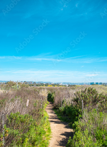 A path in the Ballona Wetlands of Los Angeles California (ID: 601883573)
