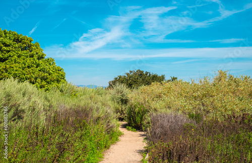 A nature trail in the Ballona Wetlands of Los Angeles California (ID: 601883786)