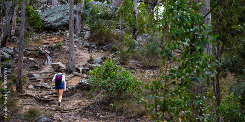 backpacker girl hiking up steep hill in mount barney national park, queensland, australia; demanding bushwalking in the mountains in south east queensland