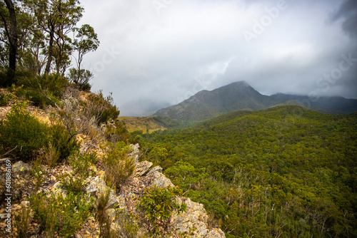 Fotografi panorama of mount barney national park, scenic mountains in south east queenslan