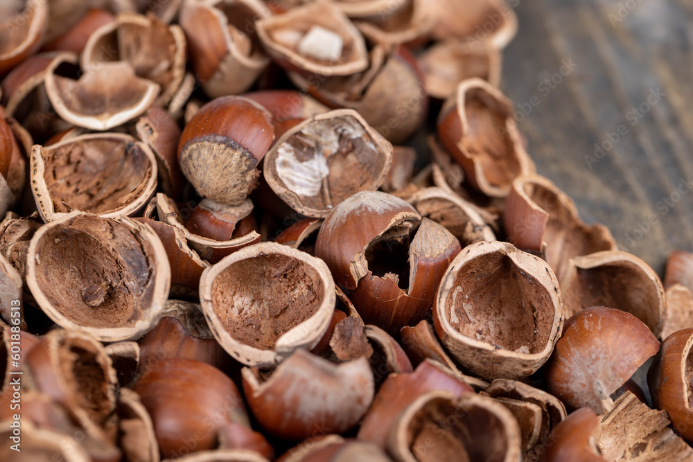 debris left after peeling the hazelnuts from the shell debris left after peeling the hazelnuts from the shell