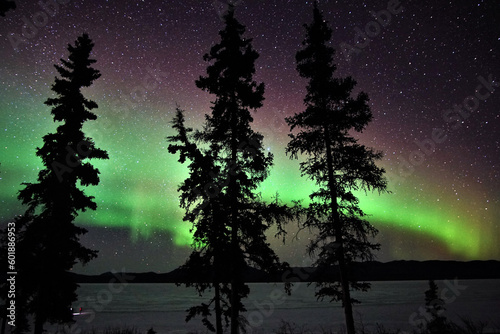Fantastical Aurora Lights Framing the Serene Lake Laberge photo