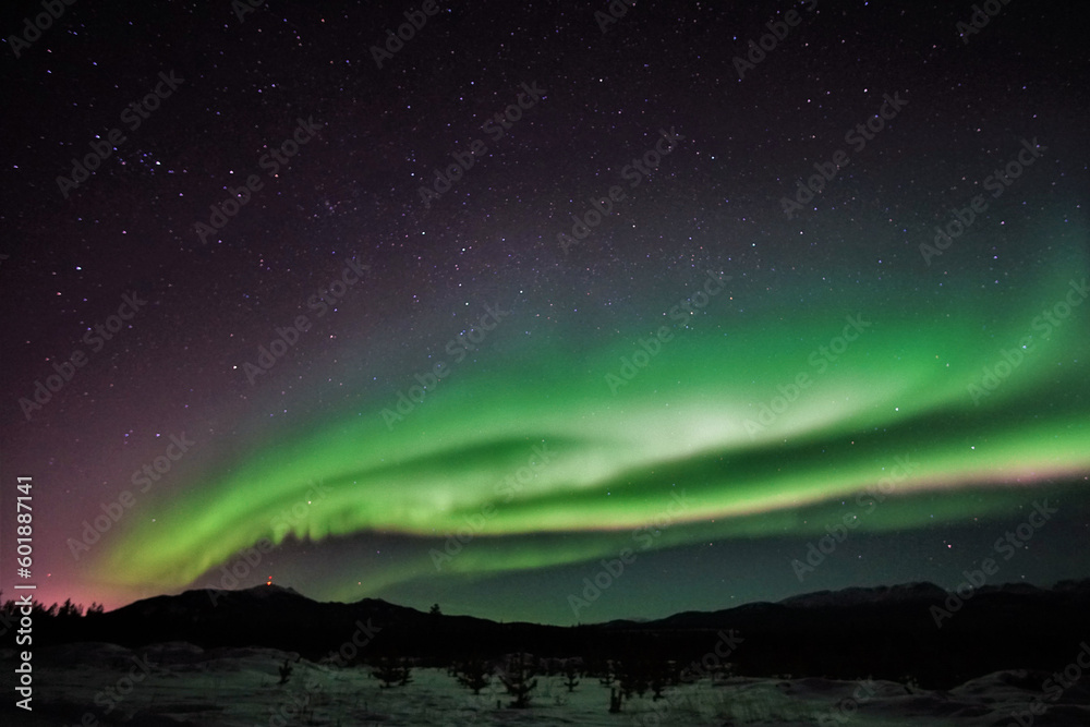 Whitehorse's Cosmic Dance: Spiraling Auroras Ignite the March Sky