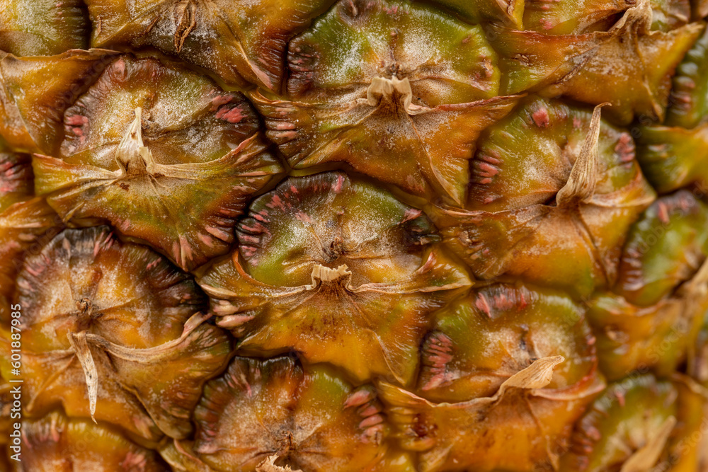 Yellow peel of ripe sweet pineapple, details Yellow peel of ripe sweet pineapple, details