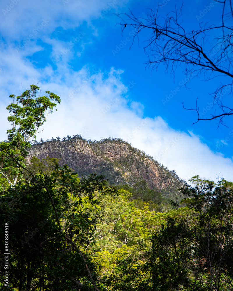 Obraz premium panorama of mount barney national park, scenic mountains in south east queensland near gold coast and brisbane, australia