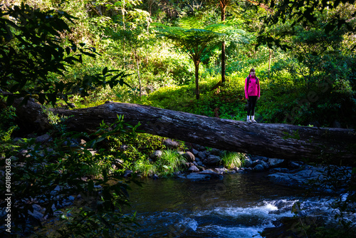 hiker girl uses an overturned tree trunk to cross a rushing river in lamington rainforest national park, queensland, australia, large tree fern in the background photo