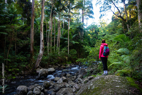 backpacker girl enjoys the scenery of unique gondwana rainforest, lamington national park in queensland, australia; bushwalking in australian rainforest