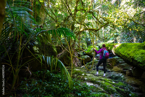 backpacker girl enjoys the scenery of unique gondwana rainforest, lamington national park in queensland, australia; bushwalking in australian rainforest photo