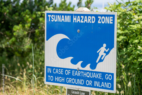 Tsunami Hazard Zone warning sign in front of overgrown brush.