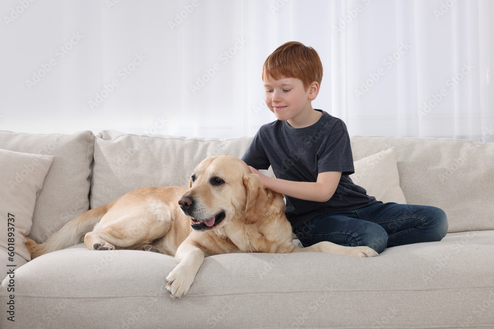 Cute child with his Labrador Retriever on sofa at home. Adorable pet