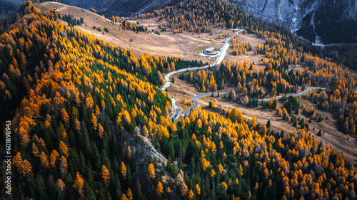 fall in the mountain