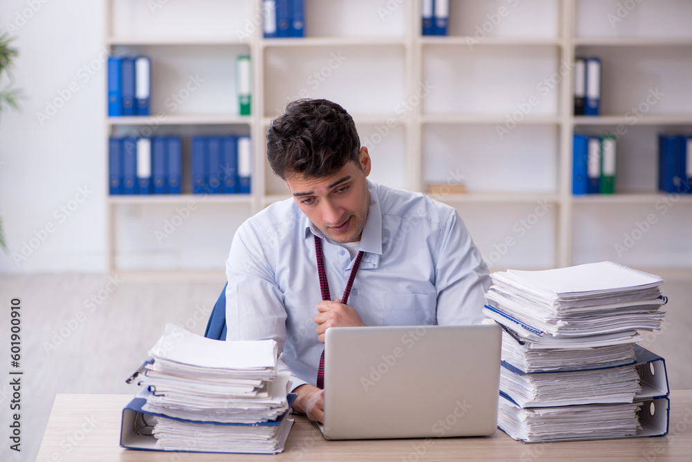 Young male employee working in the office Young male employee working in the office