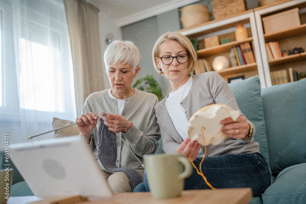 two women senior mature knitting and embroidery during leisure time two women senior mature knitting and embroidery during leisure time