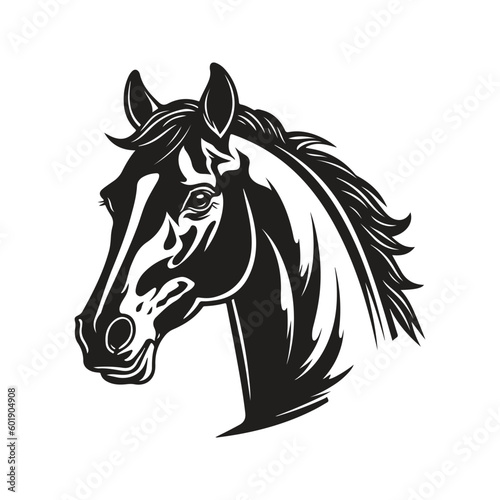 Fototapeta Naklejka Na Ścianę i Meble -  colt mascot, vintage logo line art concept black and white color, hand drawn illustration