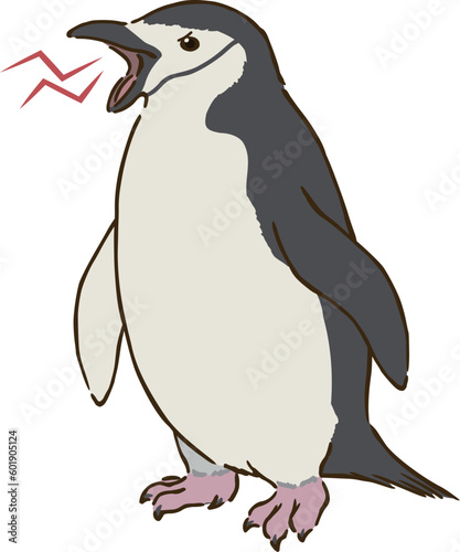 怒るヒゲペンギン